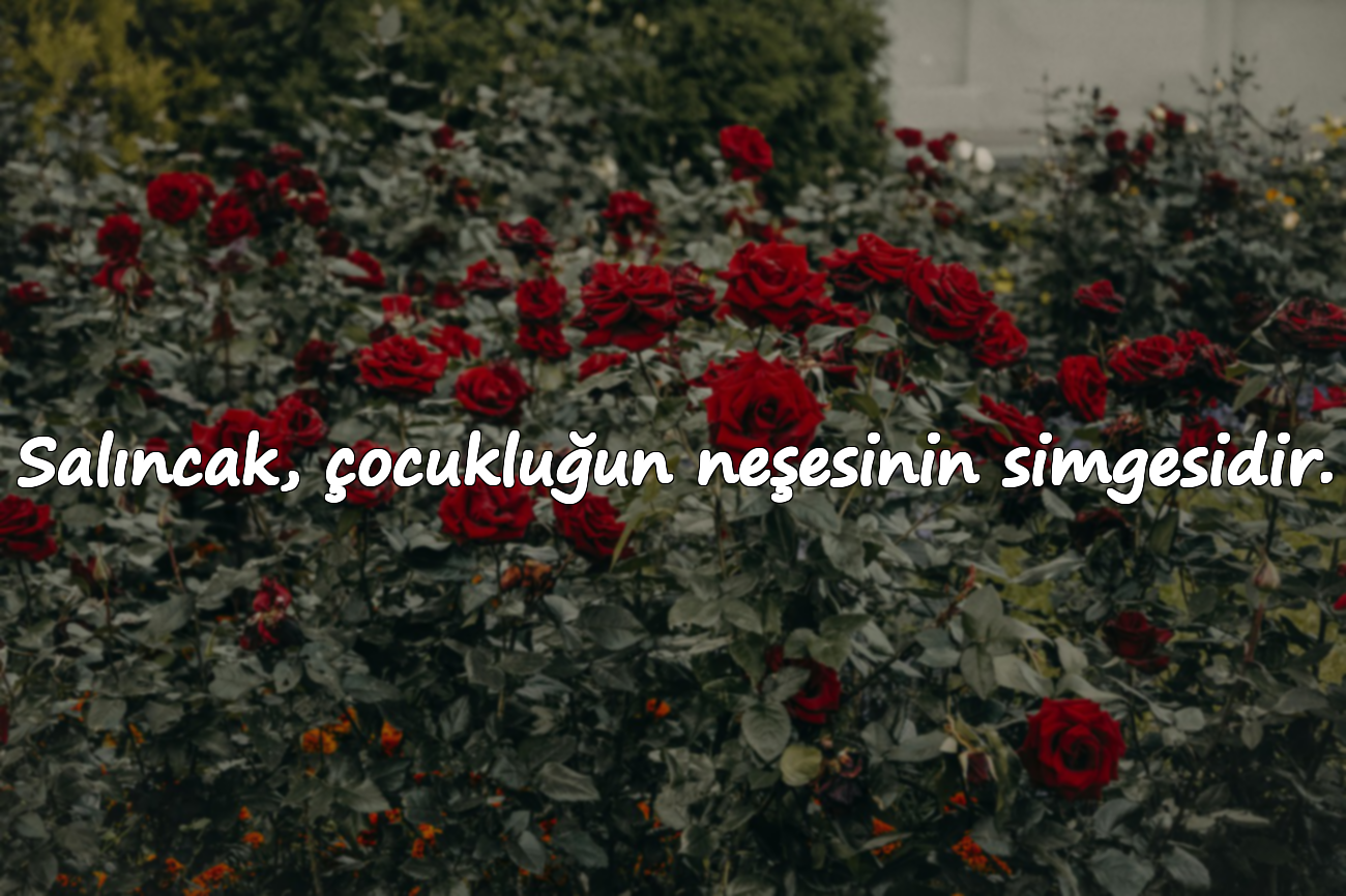 Salıncak, çocukluğun neşesinin simgesidir.
