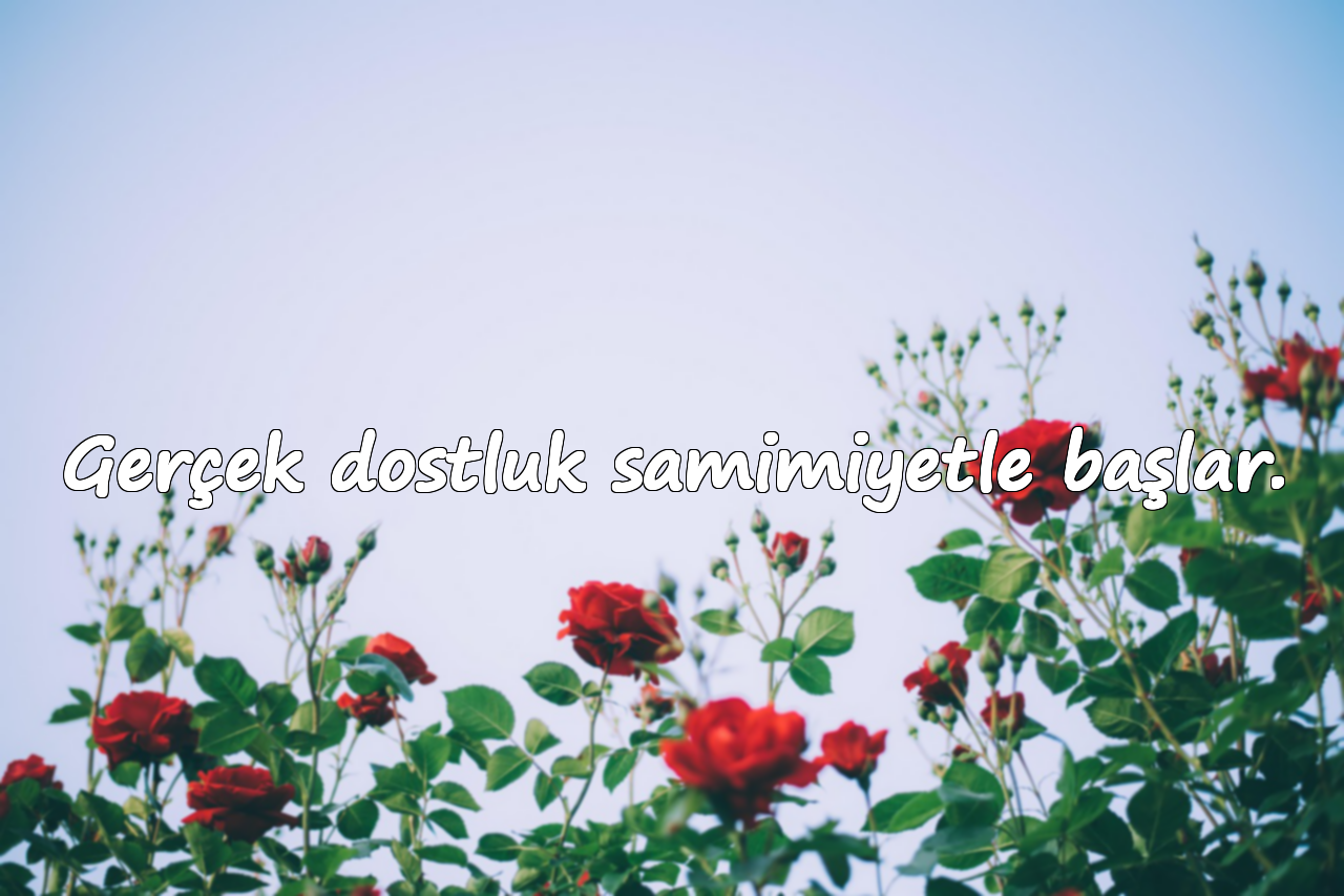 Gerçek dostluk samimiyetle başlar.