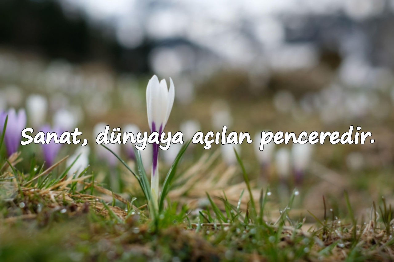 Sanat, dünyaya açılan penceredir.