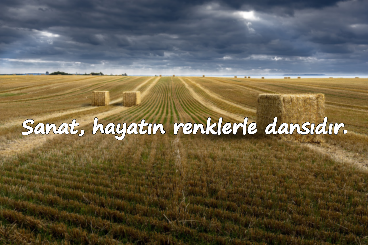 Sanat, hayatın renklerle dansıdır.