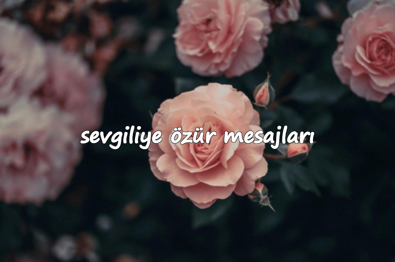 sevgiliye özür mesajı