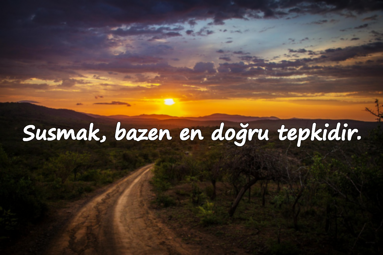 suskunlukla ilgili sözler