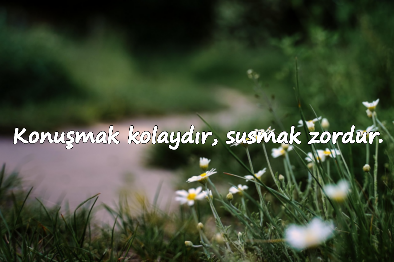 Konuşmak kolaydır, susmak zordur.