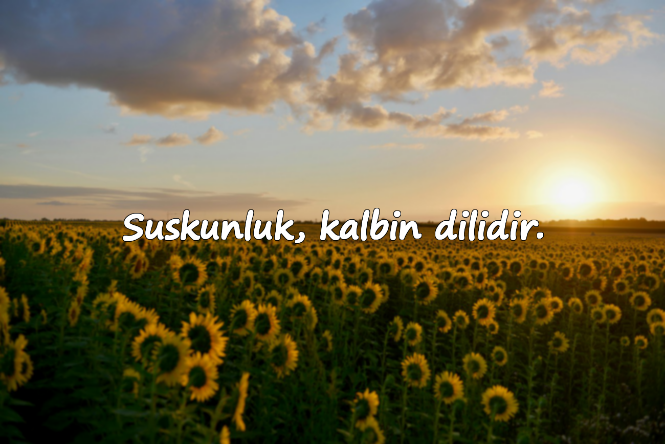 Suskunluk, kalbin dilidir.