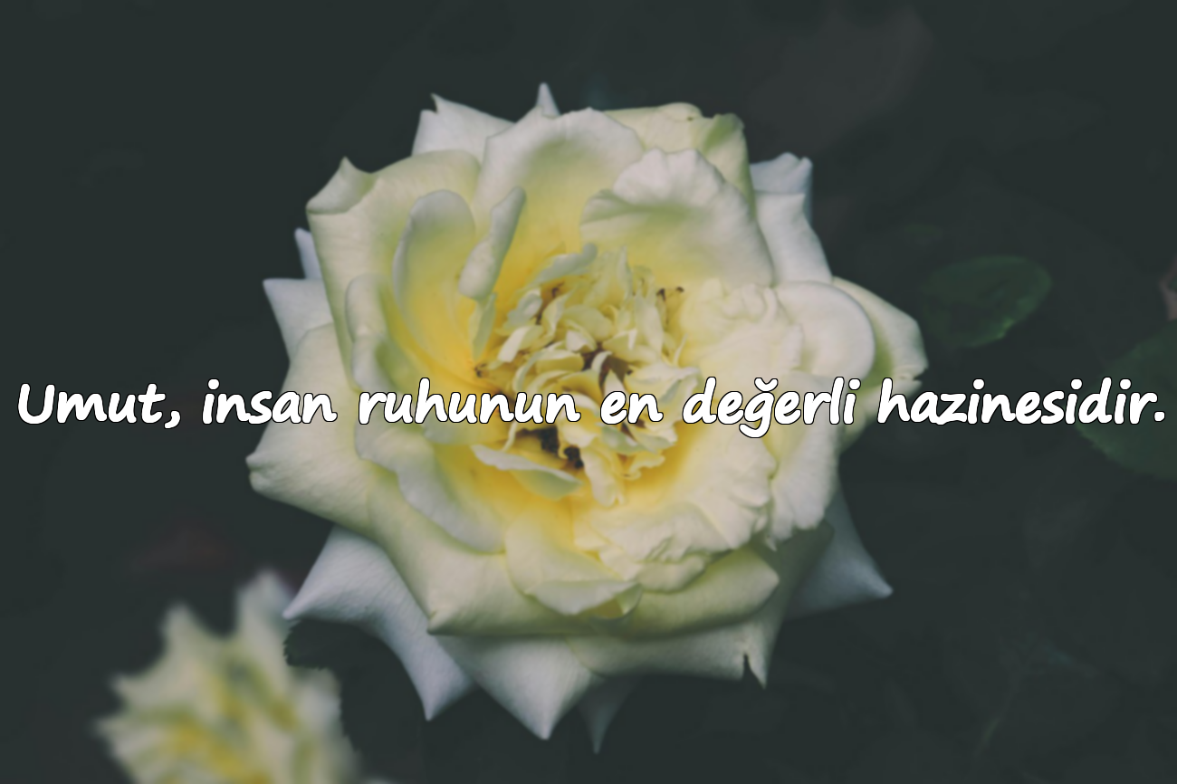 Umut, insan ruhunun en değerli hazinesidir.