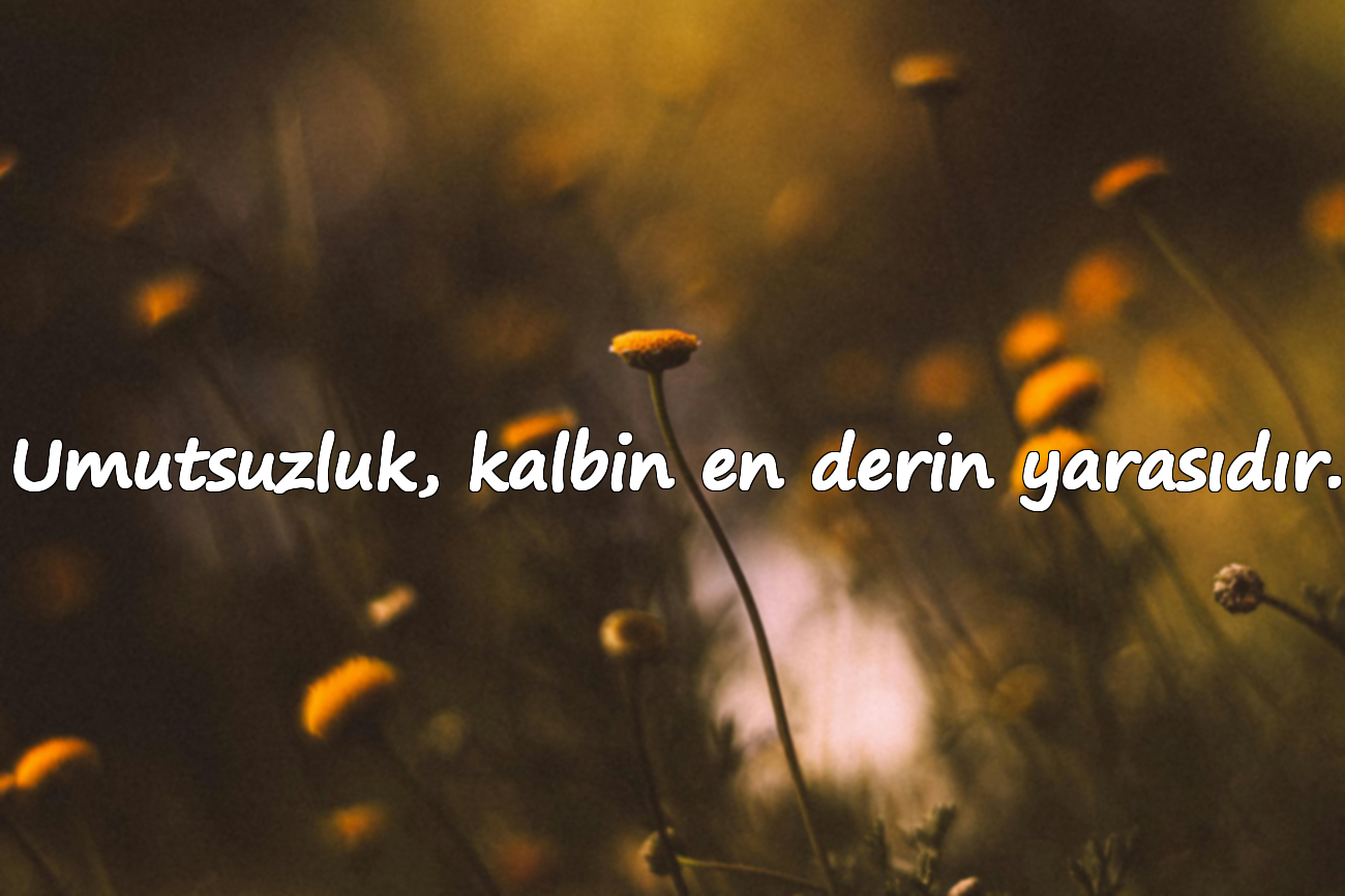 umutsuzlukla ilgili sözler