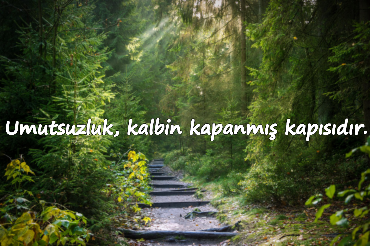 Umutsuzluk, kalbin kapanmış kapısıdır.
