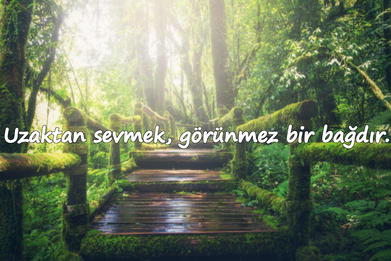 uzaktan sevmek ile ilgili sözler