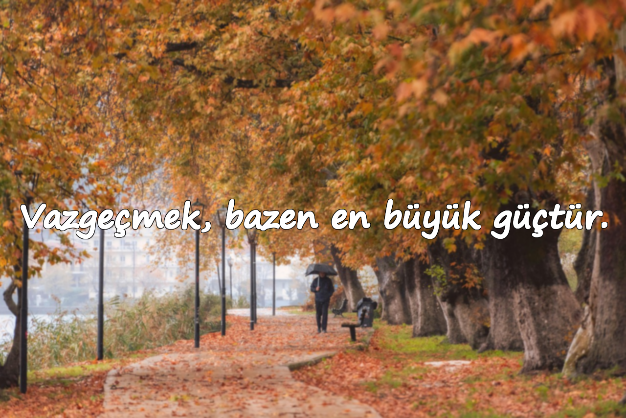 Vazgeçmek, bazen en büyük güçtür.