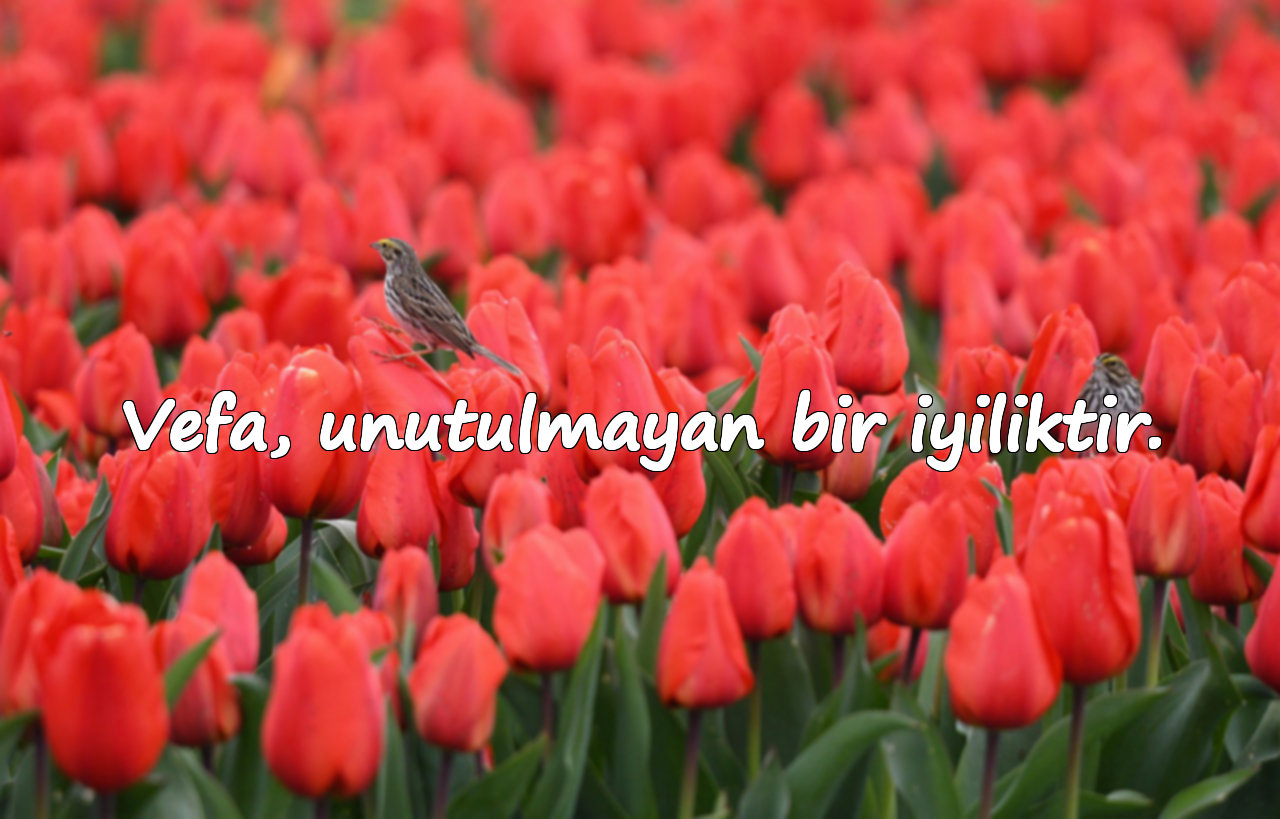 vefa ile ilgili sözler