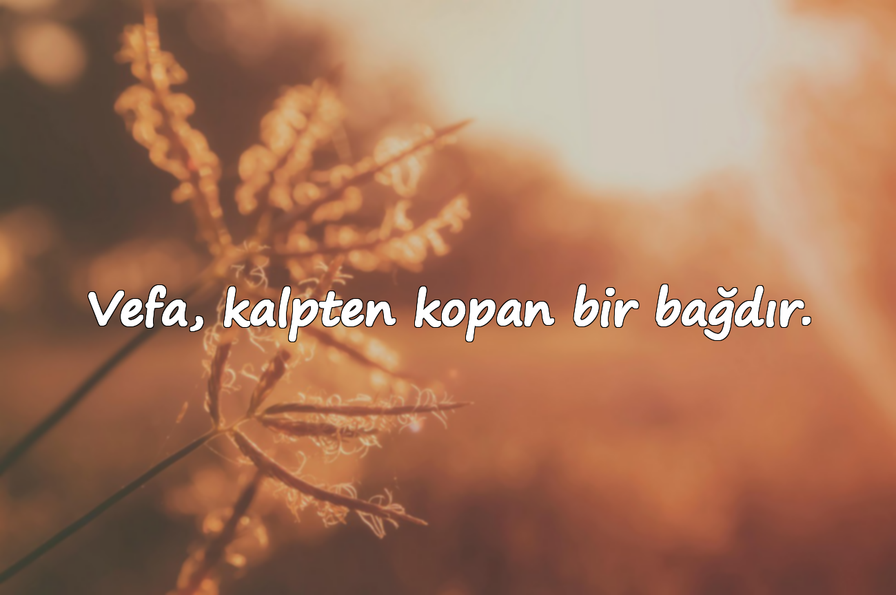 Vefa, kalpten kopan bir bağdır.