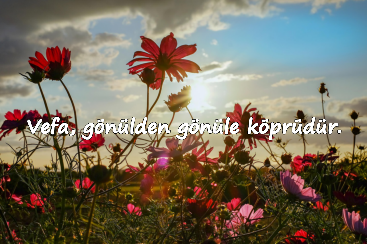 Vefa, gönülden gönüle köprüdür.