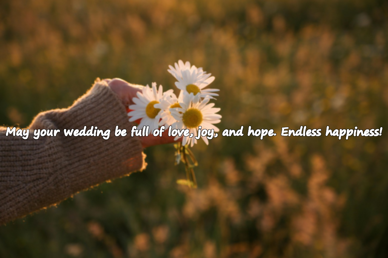 wedding Congratulations Quotes