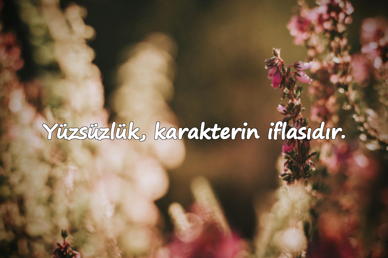 Yüzsüzlük, karakterin iflasıdır.