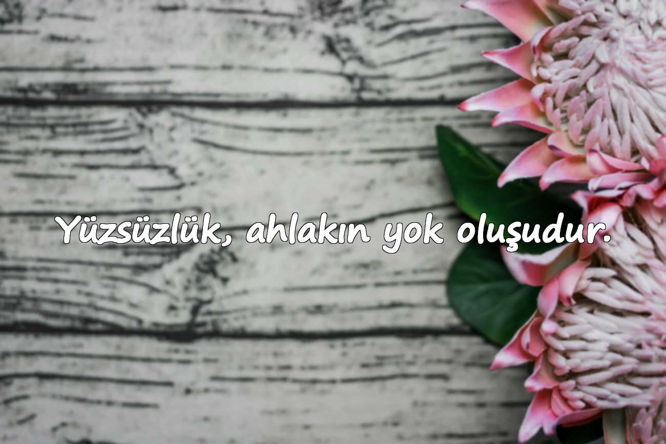 Yüzsüzlük, ahlakın yok oluşudur.