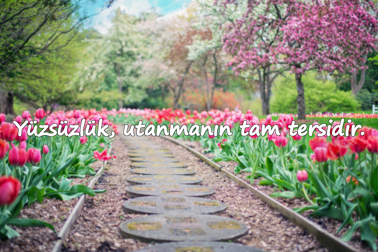 Yüzsüzlük, utanmanın tam tersidir.
