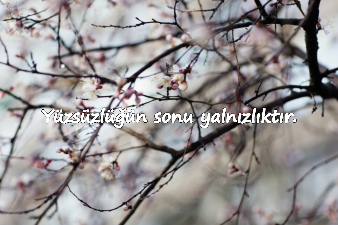 Yüzsüzlüğün sonu yalnızlıktır.