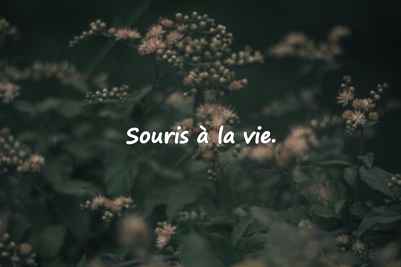 40 Belles Citations Courtes
