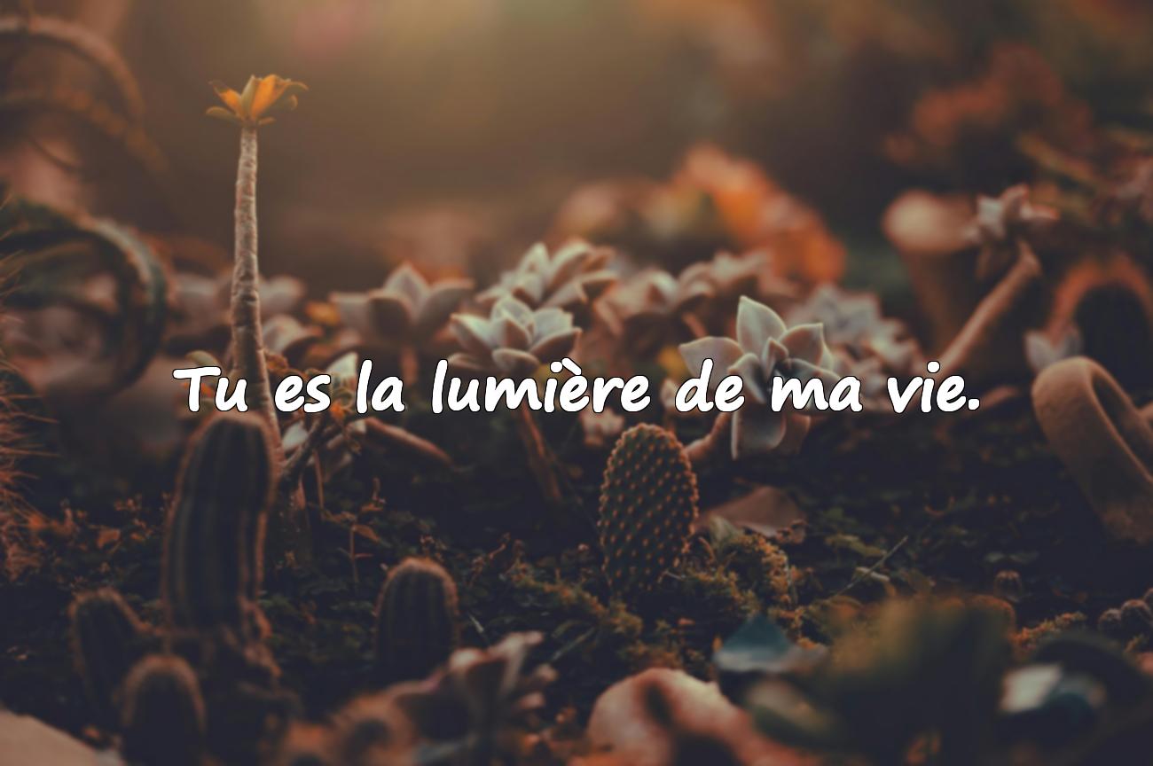 50 Belles Paroles d’Amour