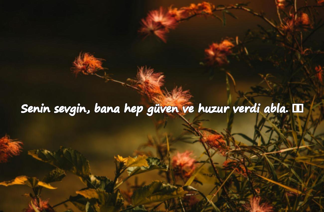 abla ile ilgili sözler