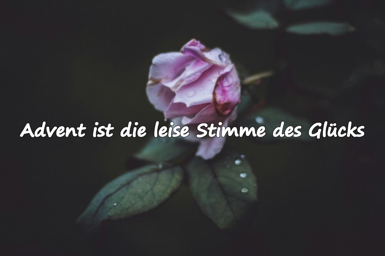advent sprüche