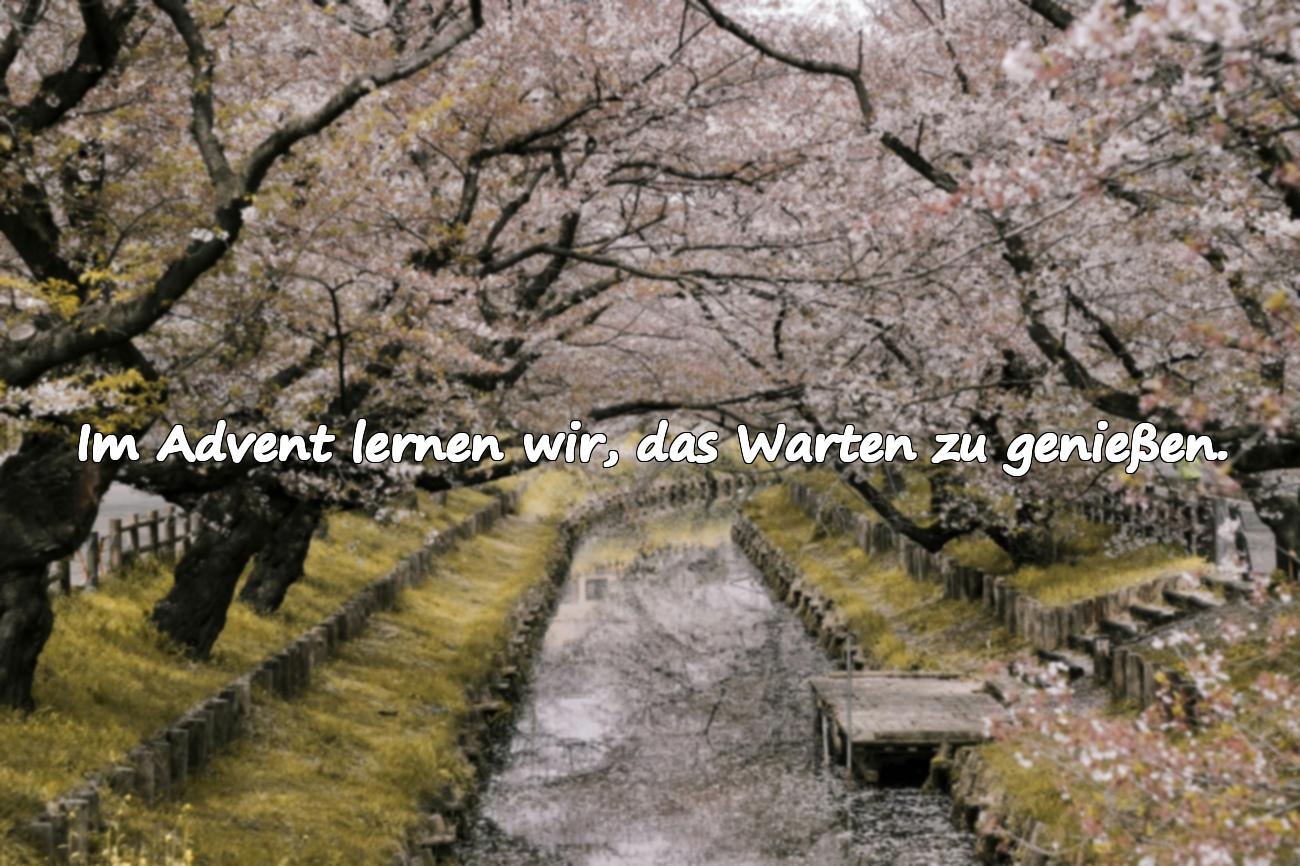 Adventszeit Sprüche