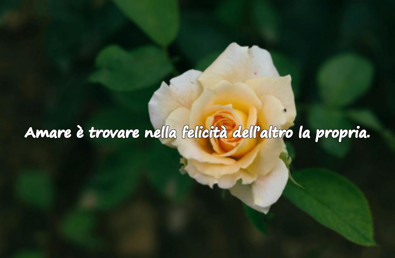 aforisma sull’amore