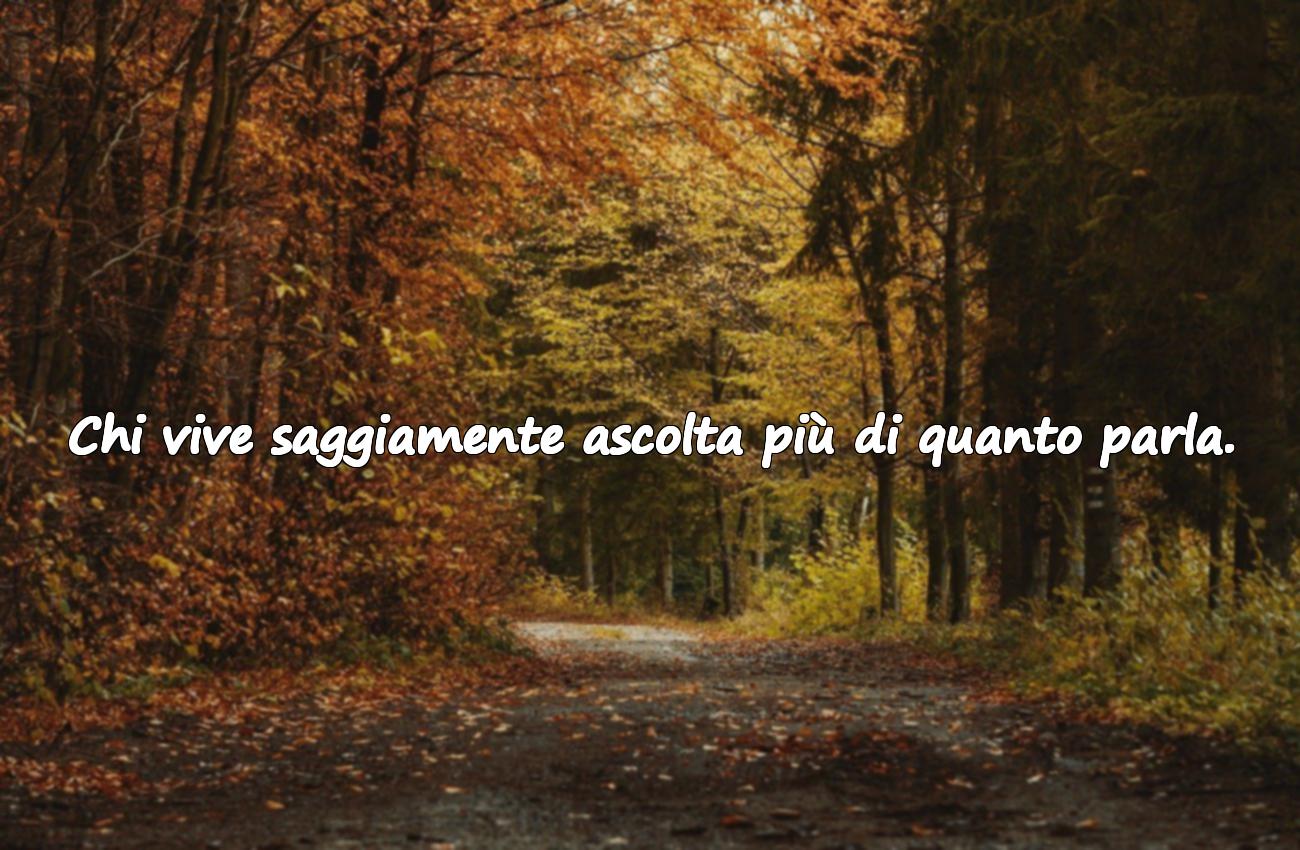 aforismi per una vita saggia