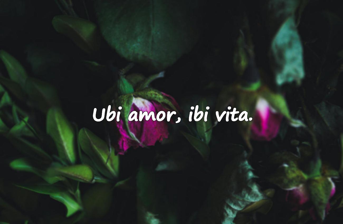 aforismi romani amore