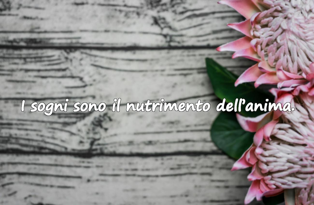aforismi sui sogni