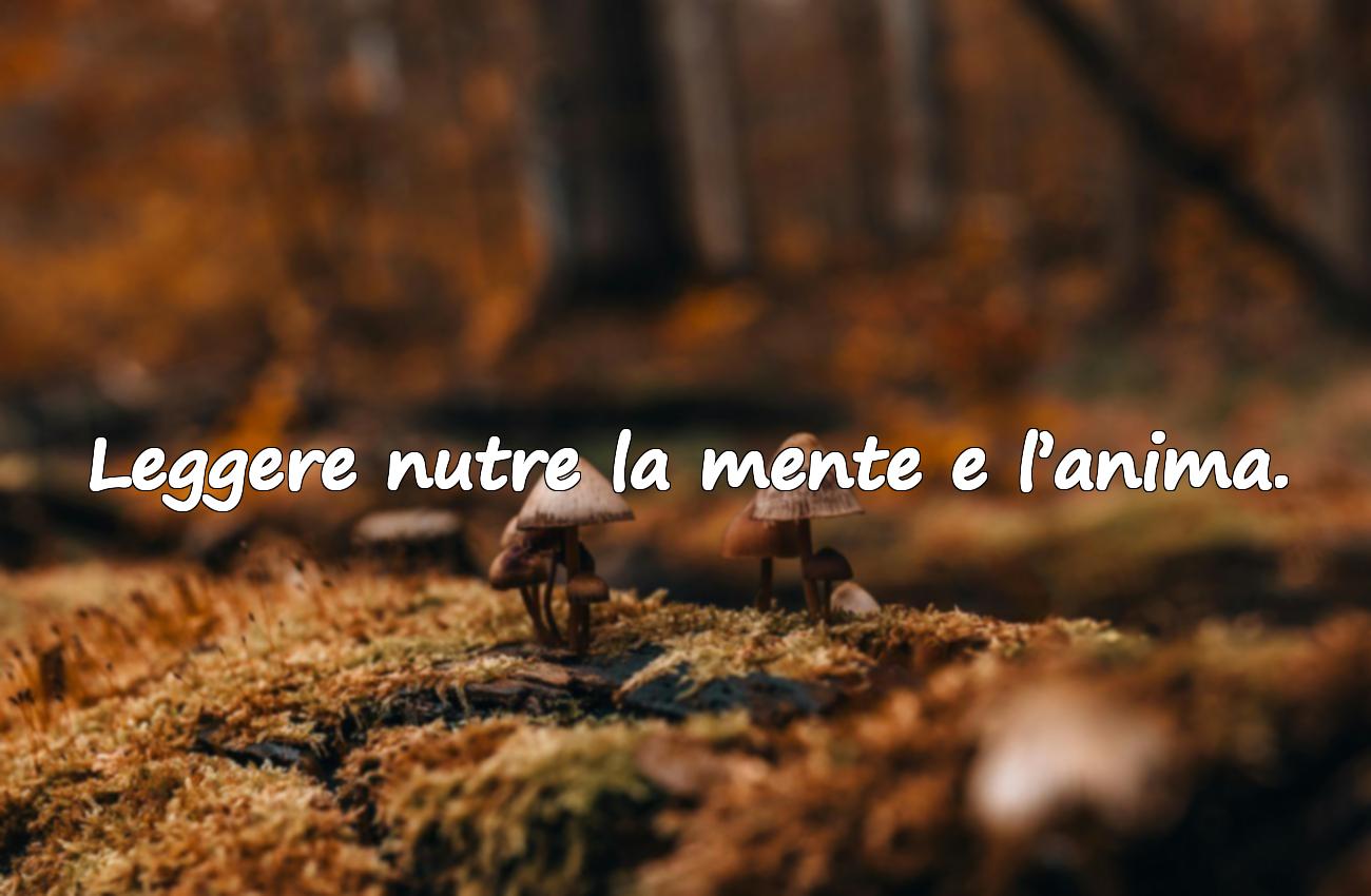 aforismi sul leggere