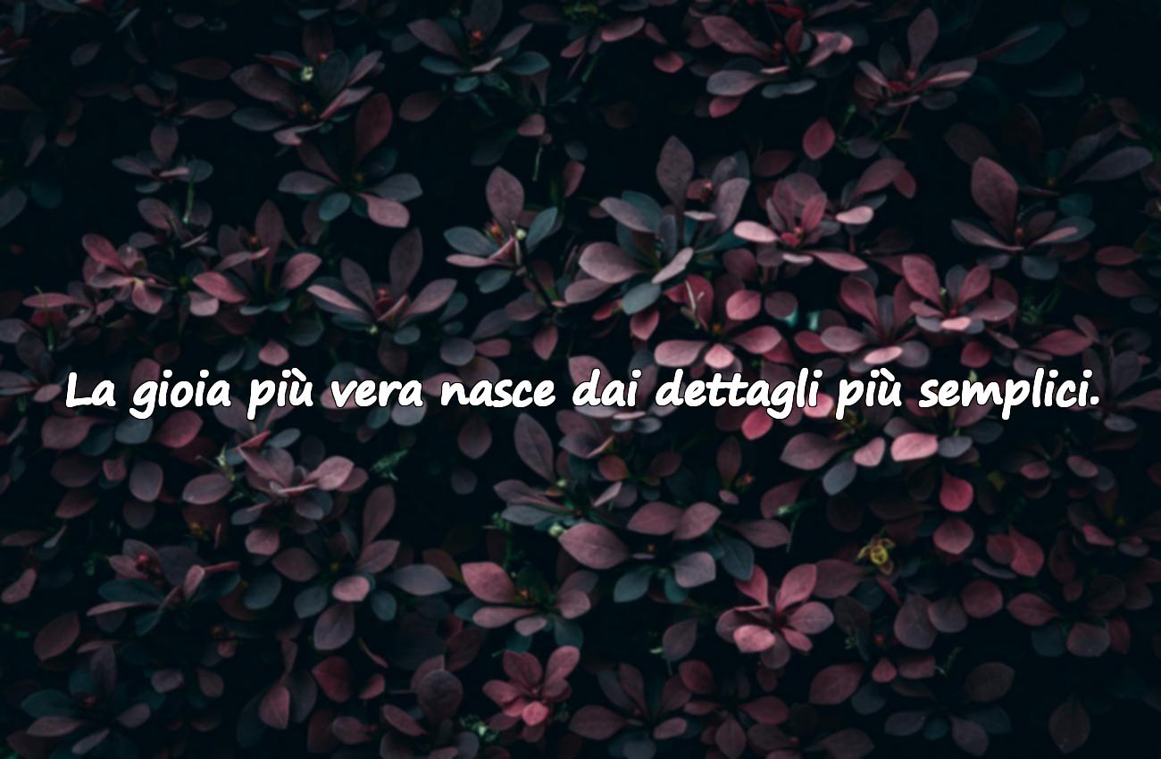 aforismi sulla felicità nelle piccole cose