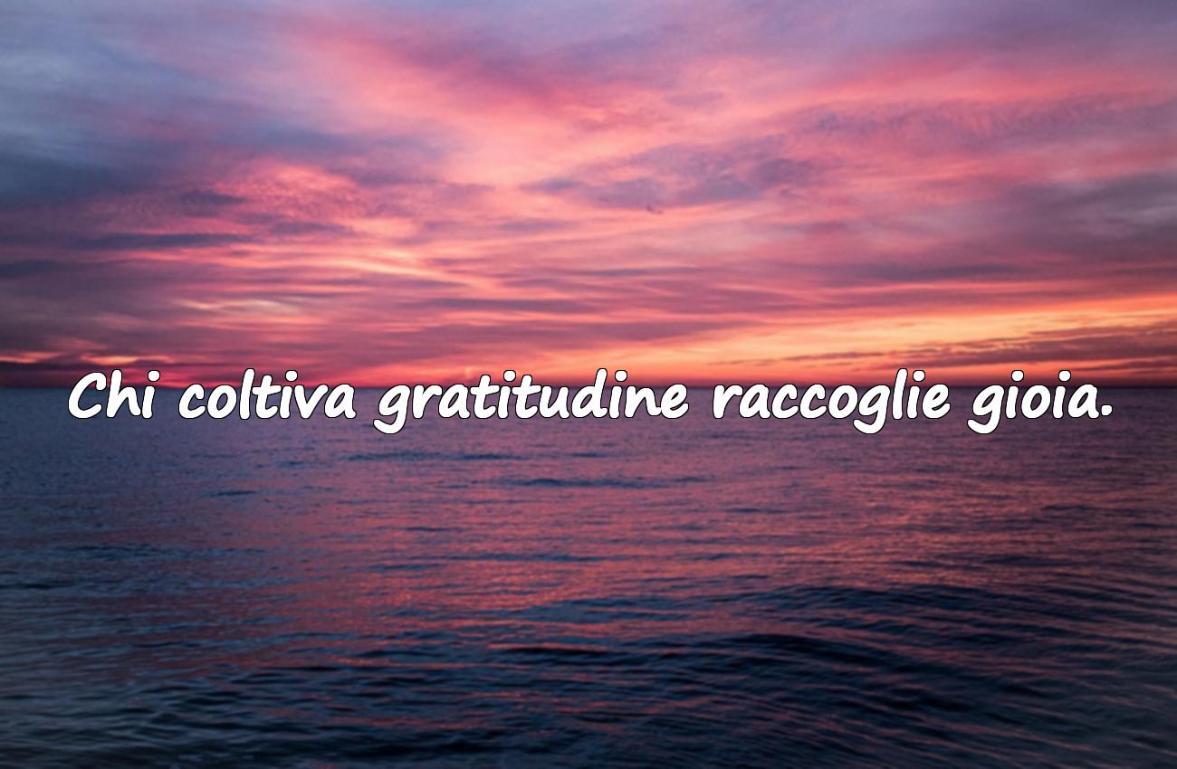 aforismi sulla gratitudine