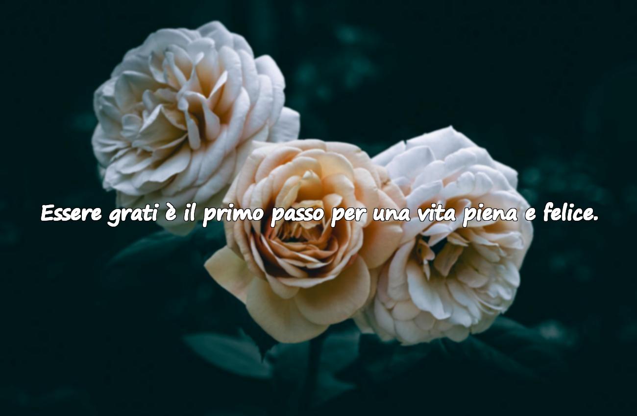 aforismi sulla gratitudine