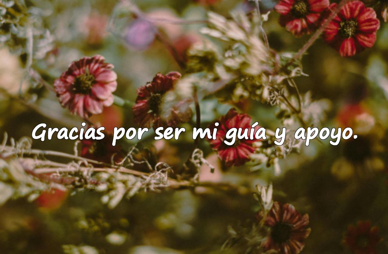 agradecimiento frases