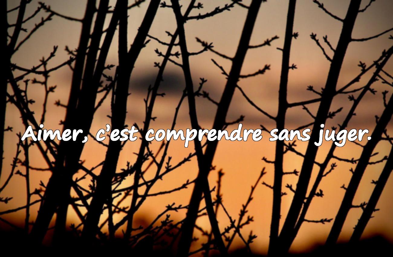 aimer citation