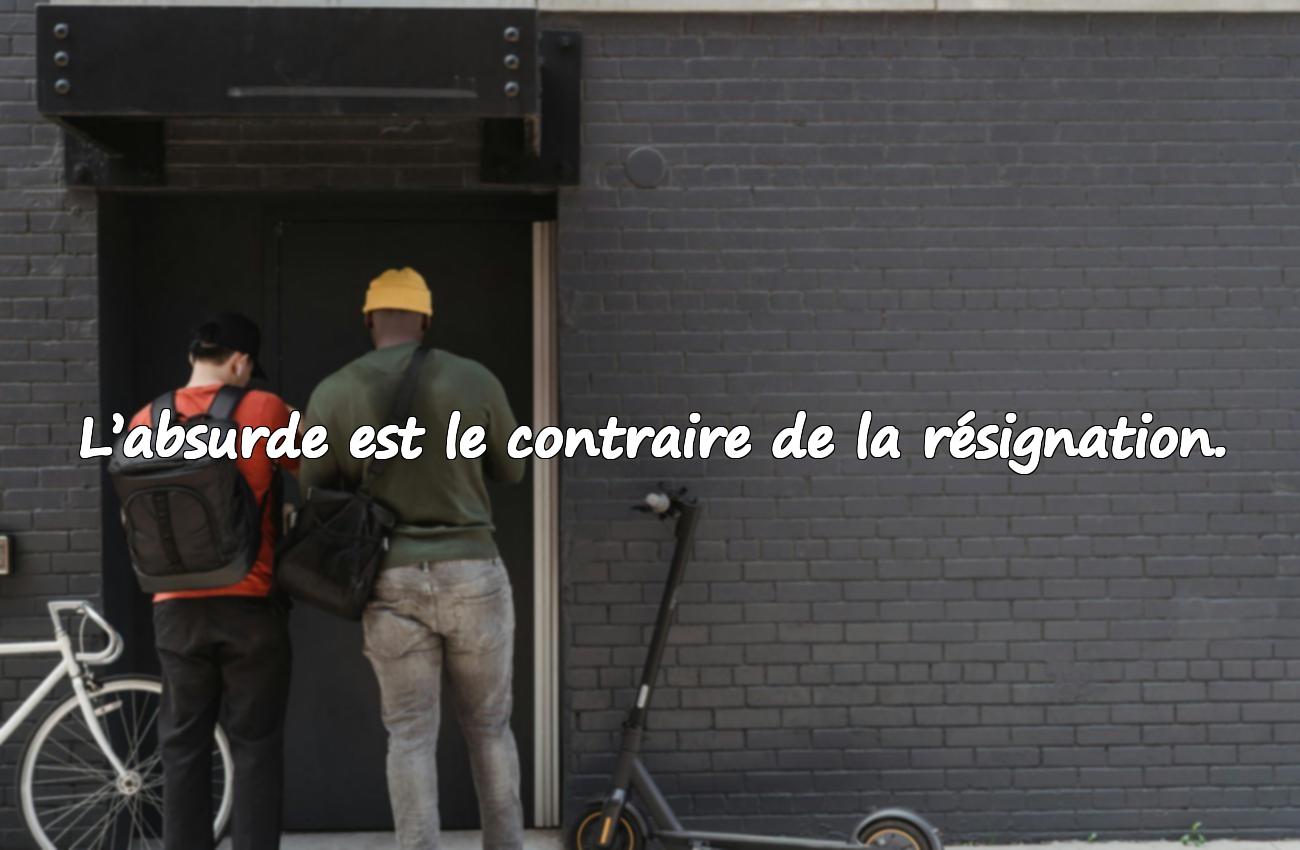 albert camus citation