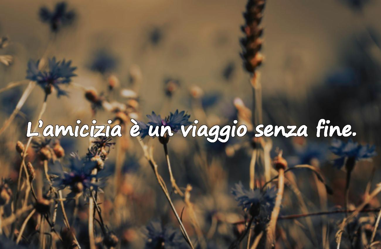 amici frasi