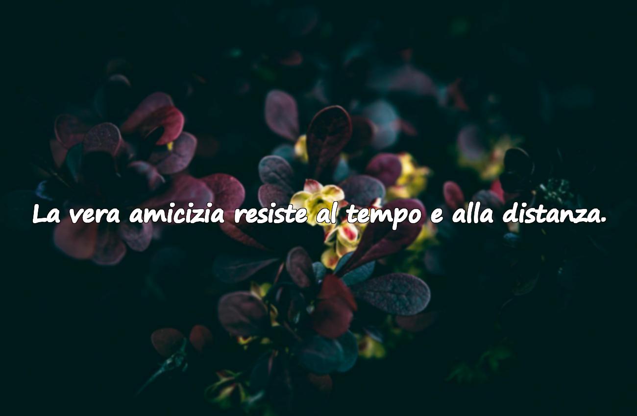 amici veri frasi