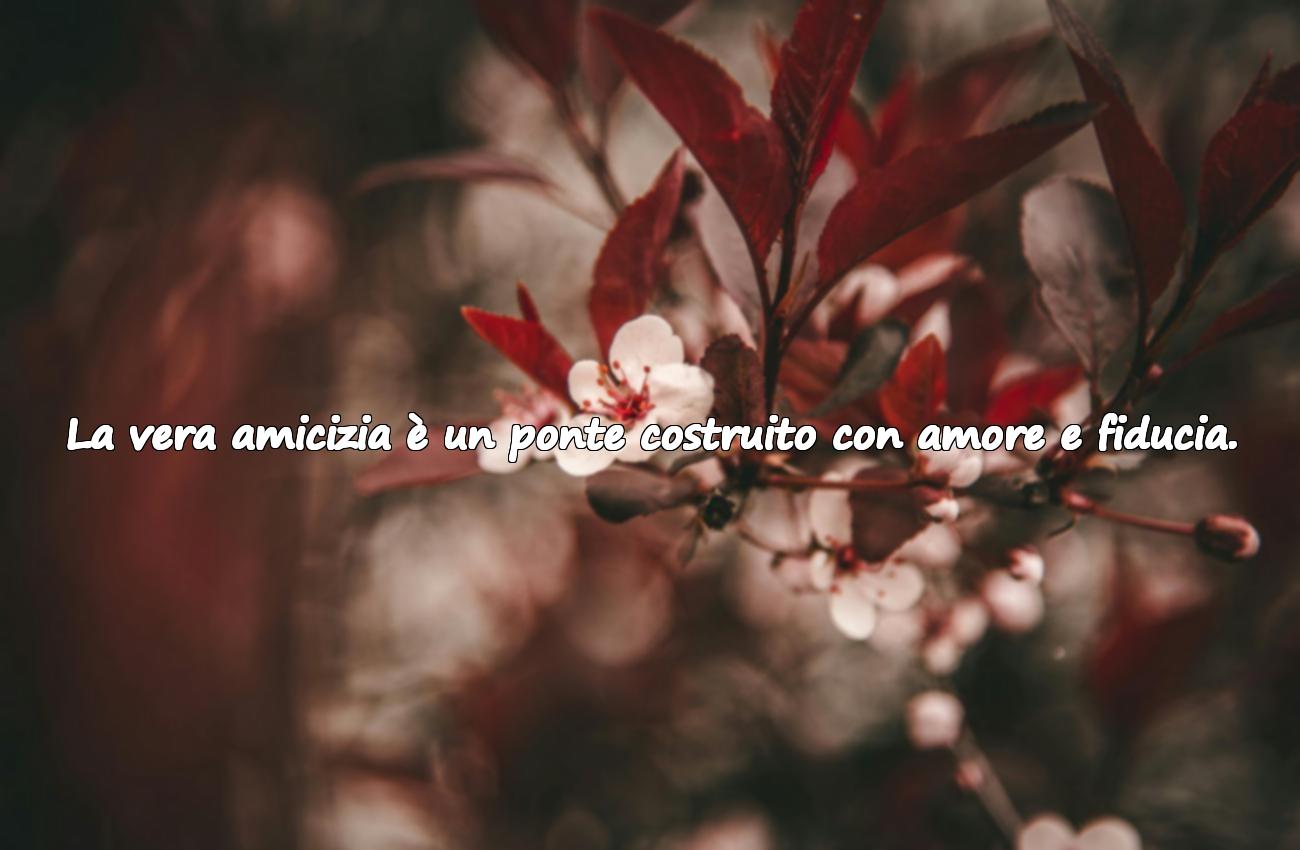 amici veri frasi