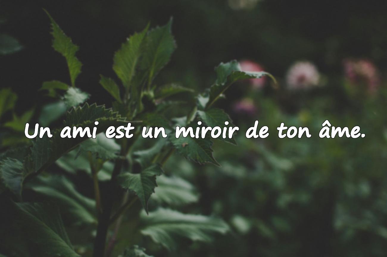 amis citation