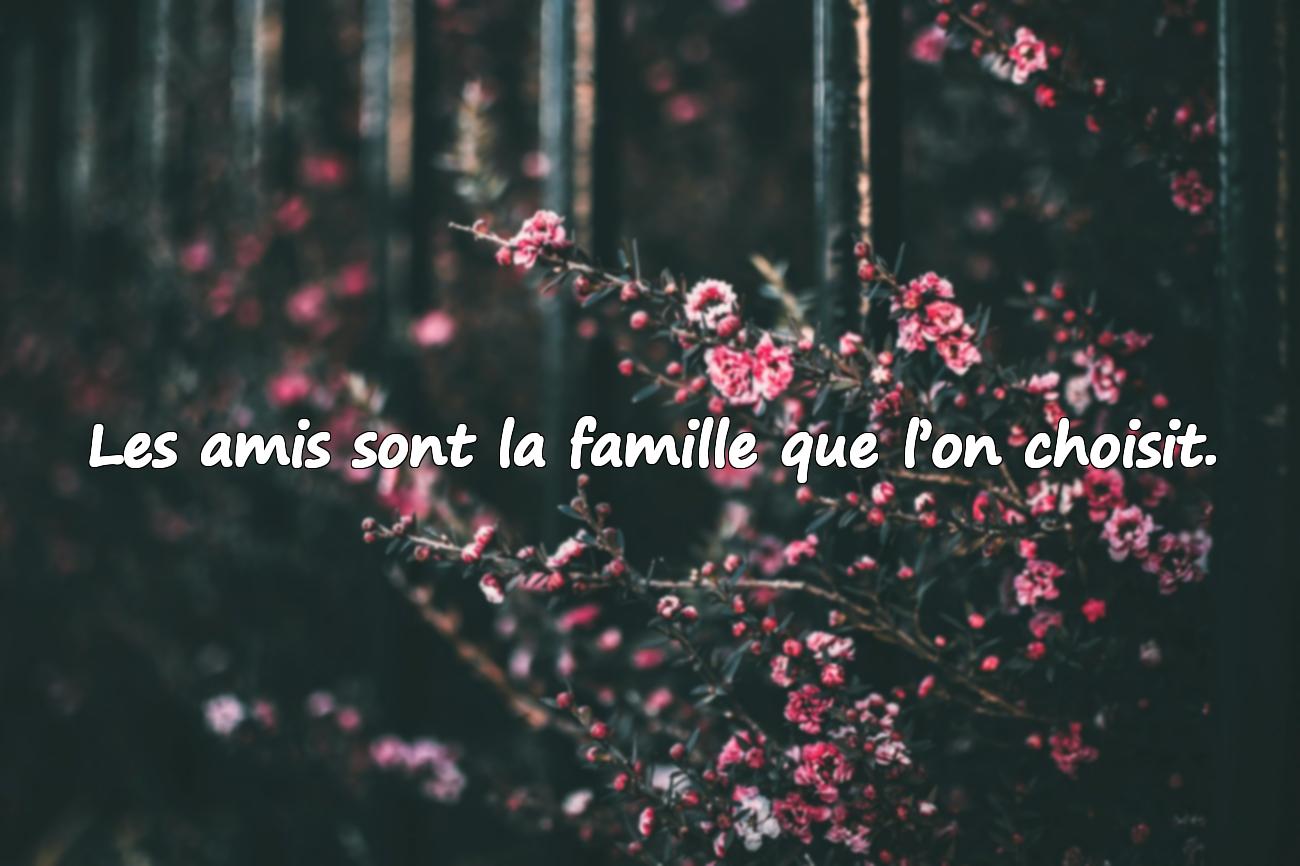 amis citation