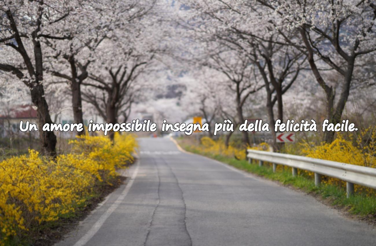 amore impossibile frasi