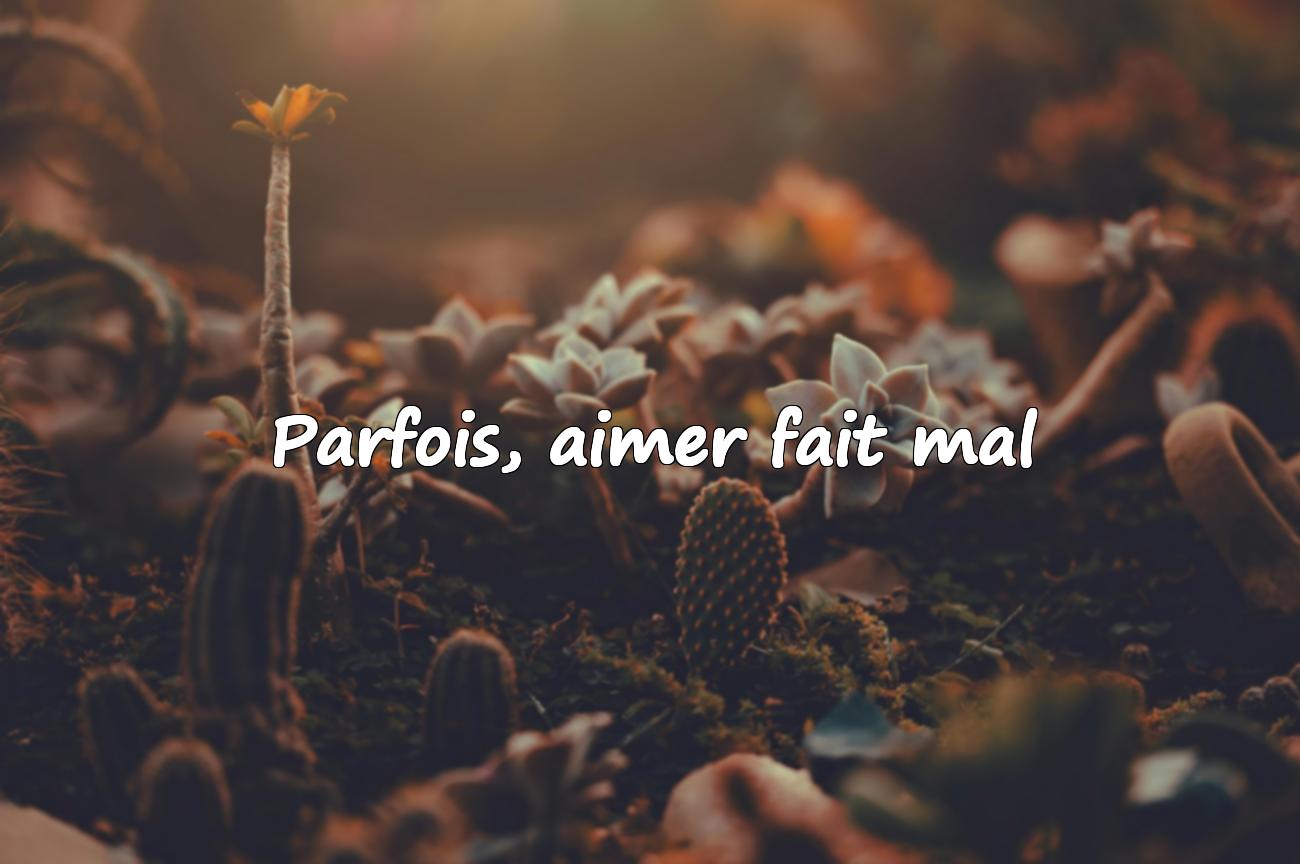 Amour Compliqué Citation