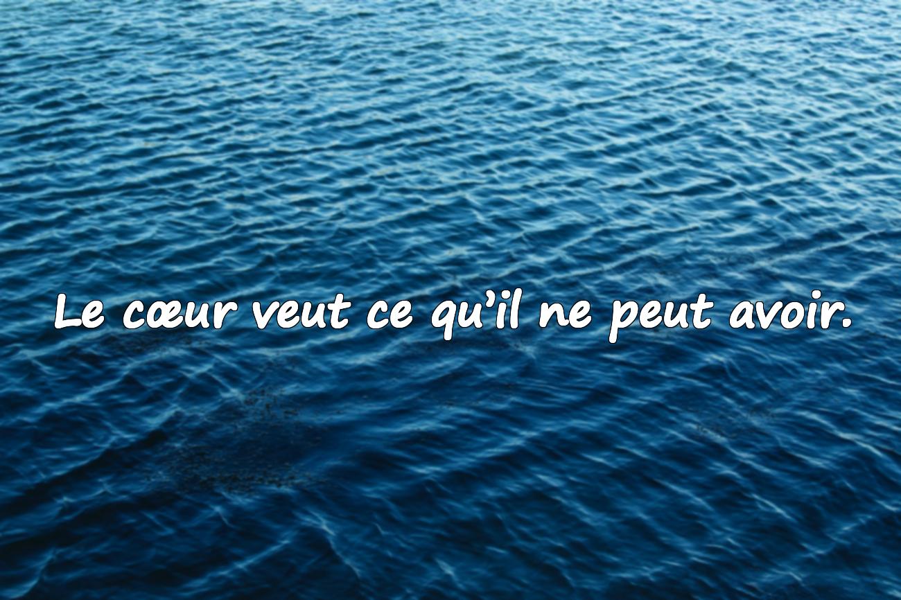Amour Compliqué Citation