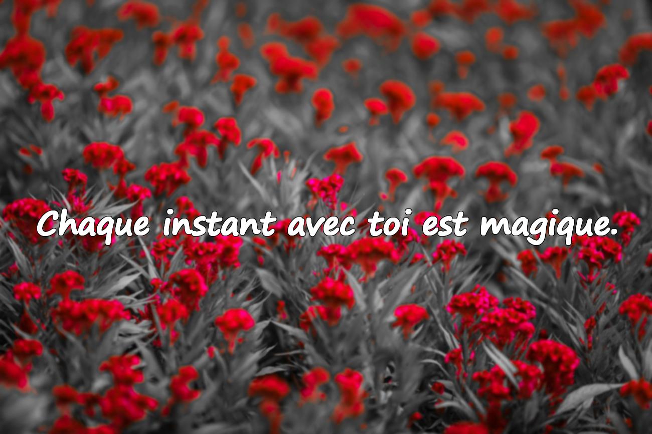 amour et citation
