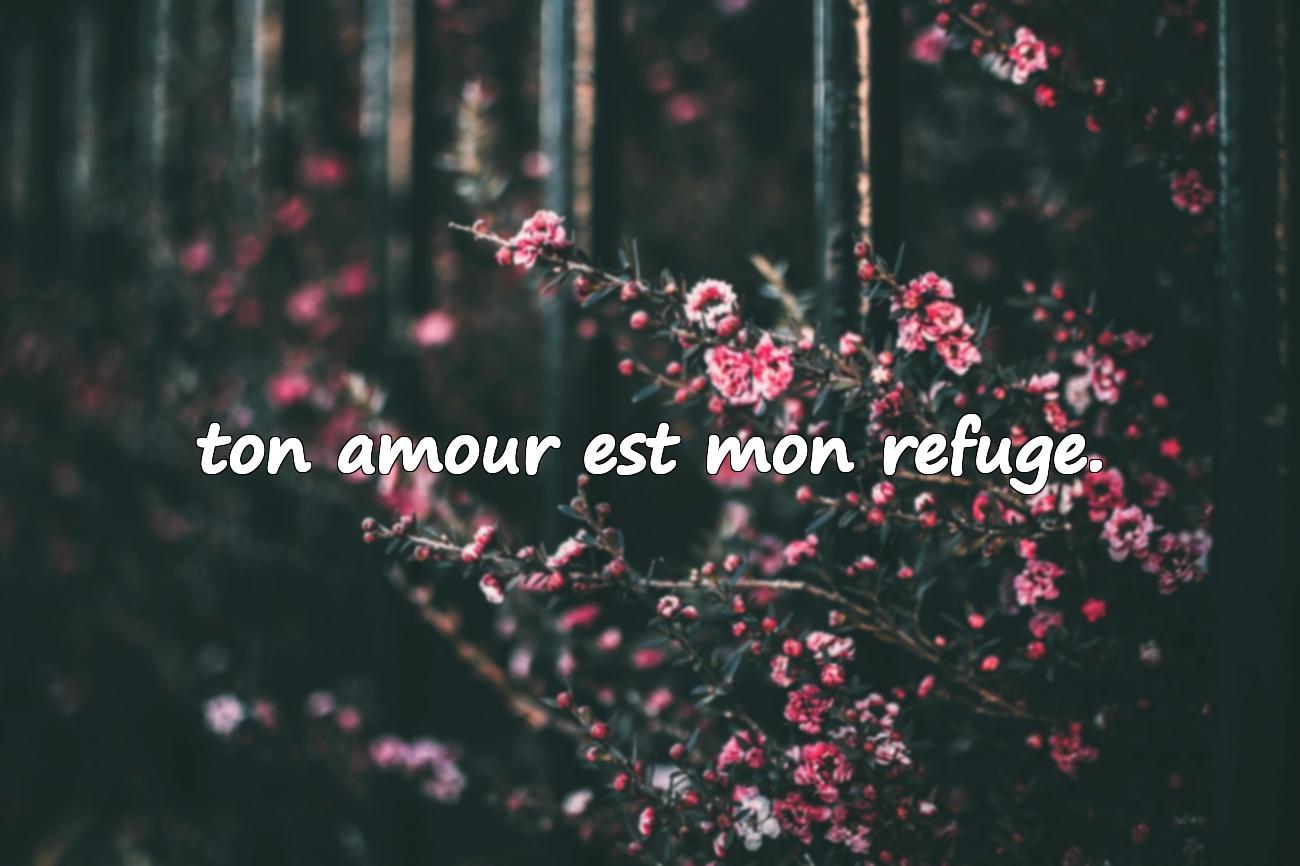 amour et citation