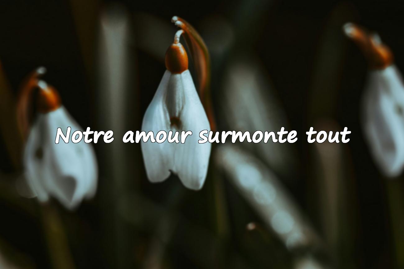 Amour Fort Citation