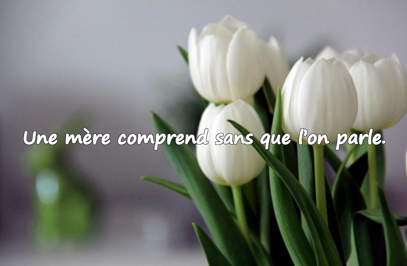 amour maternel citation