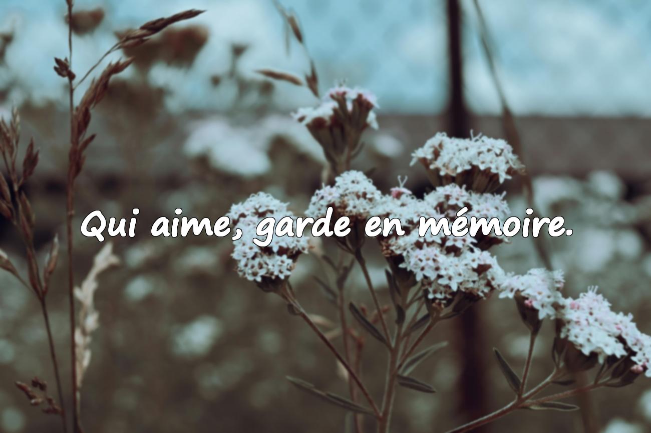 amour proverbe